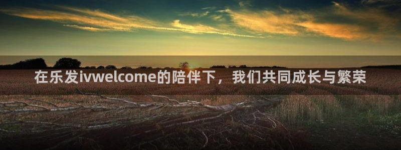 2元网走势图大全：在乐发ivwelcome的陪伴下，我们共同成长与繁荣