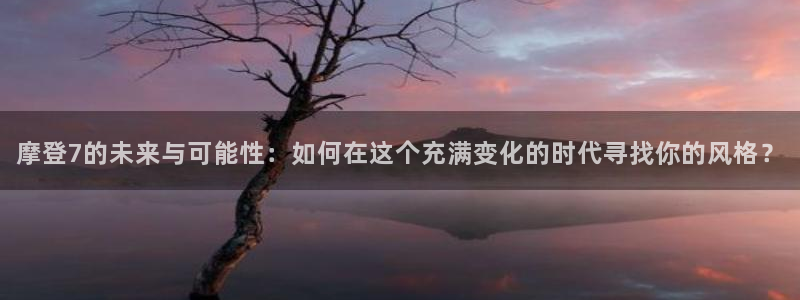 2元网河南二十二：摩登7的未来与可能性：如何在这个充满变化的时代寻找你的风格？