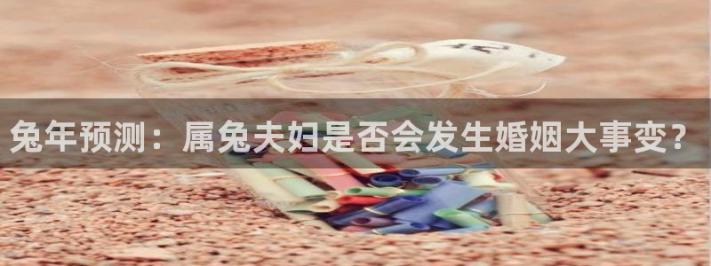 2元网河南二十二选五：兔年预测：属兔夫妇是否会发生婚姻大事变？