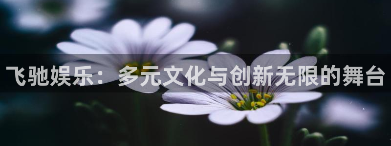 2元网河南二十二选五开奖号码