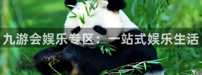 2元网：九游会娱乐专区：一站式娱乐生活