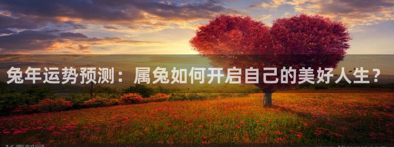 2元网河南二十二选五开奖号码：兔年运势预测：属兔如何开启自己的美好人生？