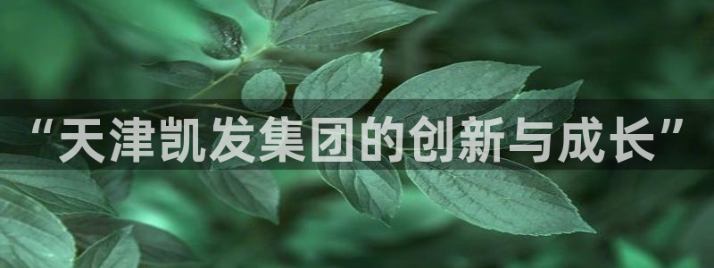 3d和值走势图2元网：“天津凯发集团的创新与成长”
