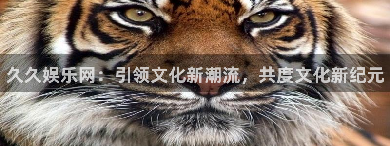 2元网河南二十二选五开奖号码：久久娱乐网：引领文化新潮流，共度文化新纪元