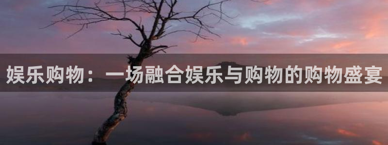 2元网河南二十二：娱乐购物：一场融合娱乐与购物的购物盛宴