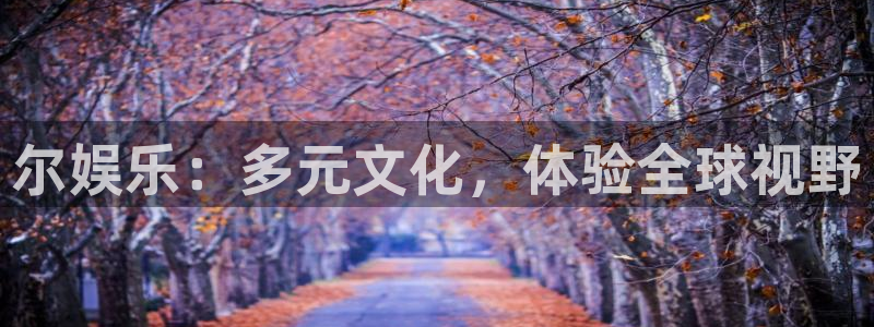 2元网
