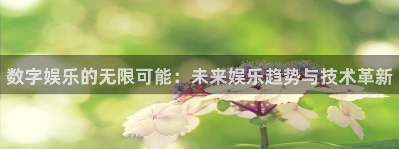 2元彩票官网：数字娱乐的无限可能：未来娱乐趋势与技术革新