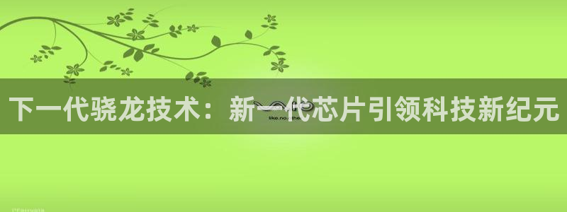 2元网河南二十二选五开奖号码：下一代骁龙技术：新一代芯片引领科技新纪元