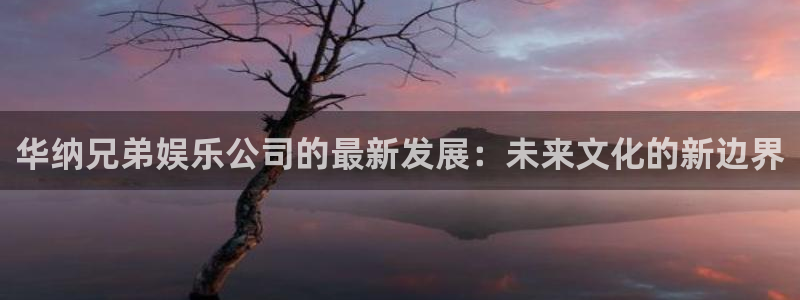 2元网走势图大全：华纳兄弟娱乐公司的最新发展：未来文化的新边界