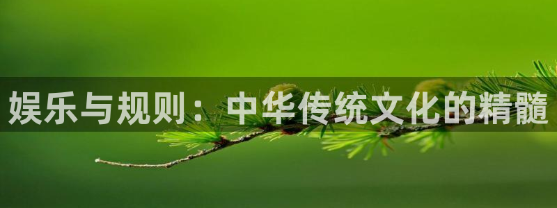 2元网河南二十二：娱乐与规则：中华传统文化的精髓