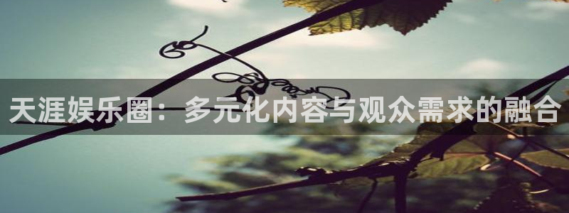 2元网河南二十二选五开奖号码：天涯娱乐圈：多元化内容与观众需求的融合