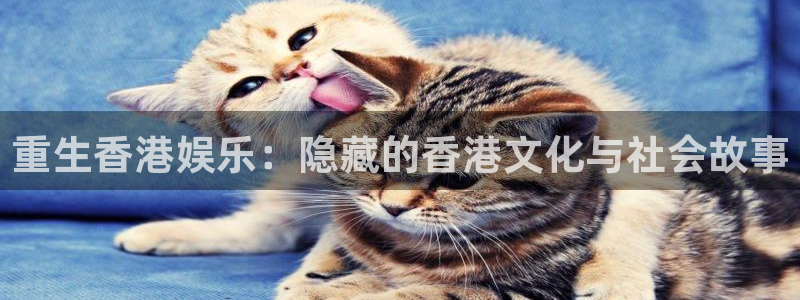 3d和值走势图2元网：重生香港娱乐：隐藏的香港文化与社会故事