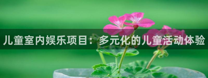 2元彩票官网：儿童室内娱乐项目：多元化的儿童活动体验