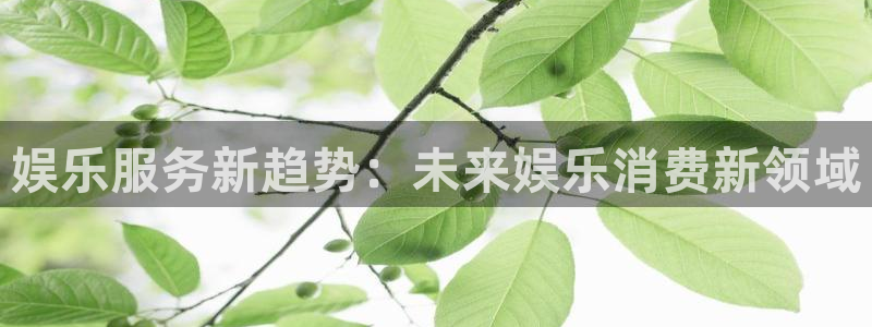 2元网河南二十二选五开奖号码：娱乐服务新趋势：未来娱乐消费新领域
