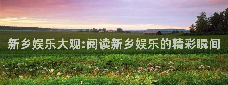 2元网河南二十二