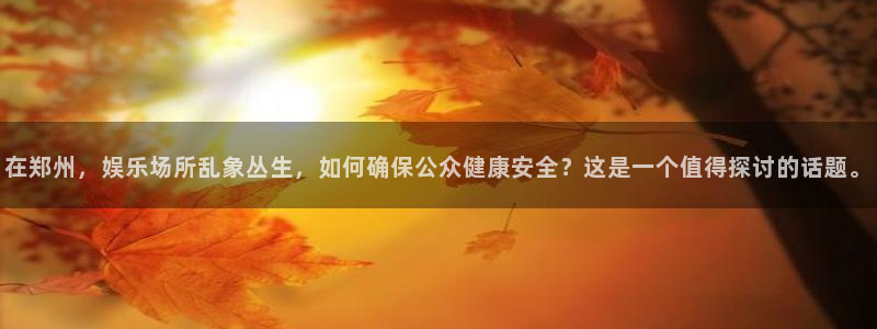 2元网河南二十二：在郑州，娱乐场所乱象丛生，如何确保公众健康安全？这是一个值得探讨的话题。