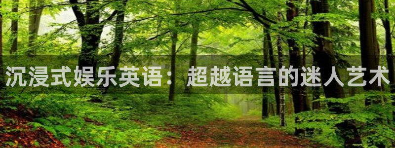 2元网：沉浸式娱乐英语：超越语言的迷人艺术