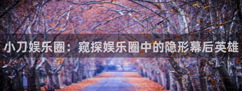 2元网：小刀娱乐圈：窥探娱乐圈中的隐形幕后英雄