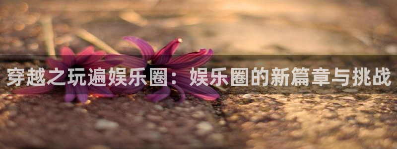 3d连线走势图2元网：穿越之玩遍娱乐圈：娱乐圈的新篇章与挑战