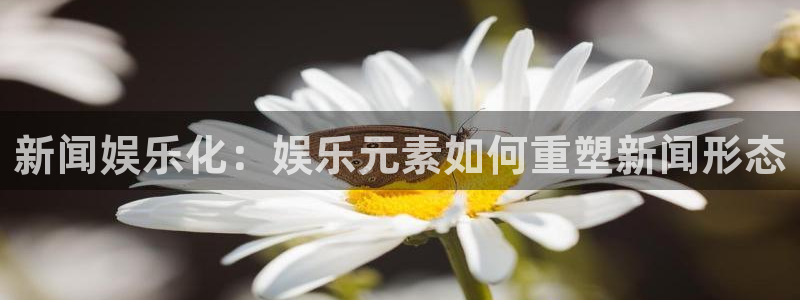 3d连线走势图2元网：新闻娱乐化：娱乐元素如何重塑新闻形态