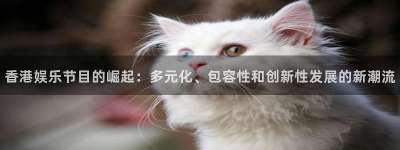 2元网河南二十二：香港娱乐节目的崛起：多元化、包容性和创新性发展的新潮流
