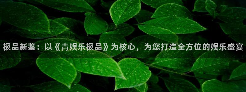 2元网走势图大全：极品新鉴：以《青娱乐极品》为核心，为您打造全方位的娱乐盛宴