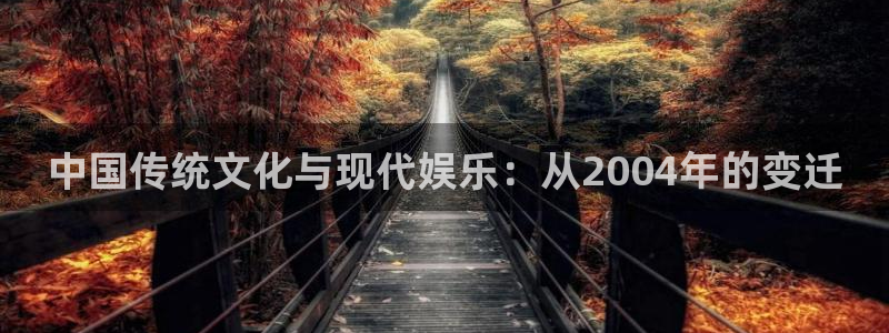 2元网走势图表：中国传统文化与现代娱乐：从2004年的变迁