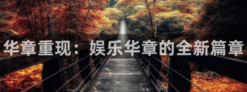 2元网：华章重现：娱乐华章的全新篇章