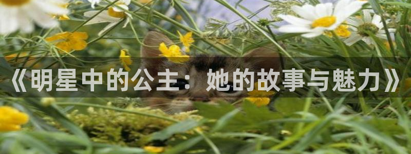2元网3d走势图：《明星中的公主：她的故事与魅力》