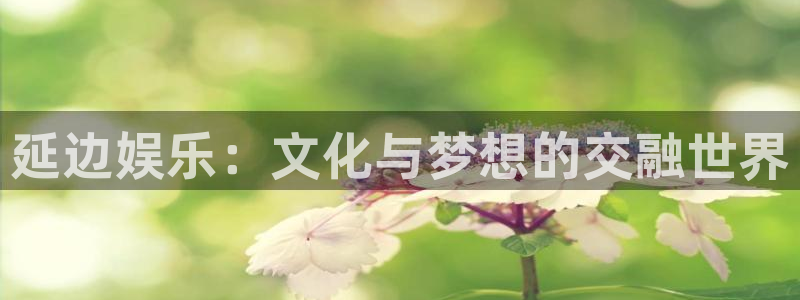 2元网河南二十二选五开奖号码：延边娱乐：文化与梦想的交融世界
