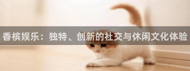 2元网走势图表：香槟娱乐：独特、创新的社交与休闲文化体验