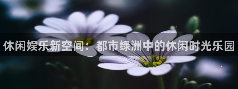 2元网河南二十二：休闲娱乐新空间：都市绿洲中的休闲时光乐园