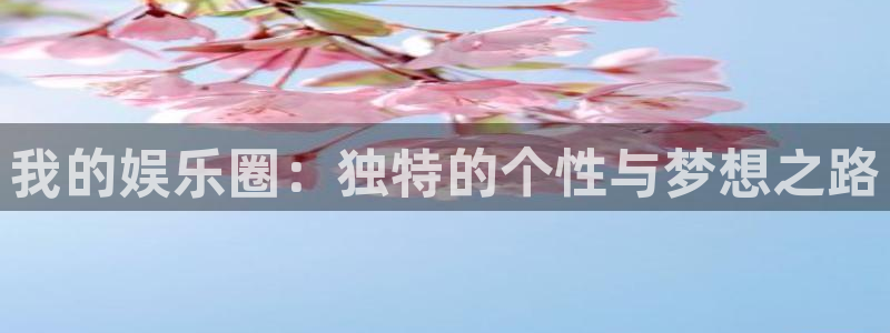 2元网河南二十二选五开奖号码：我的娱乐圈：独特的个性与梦想之路
