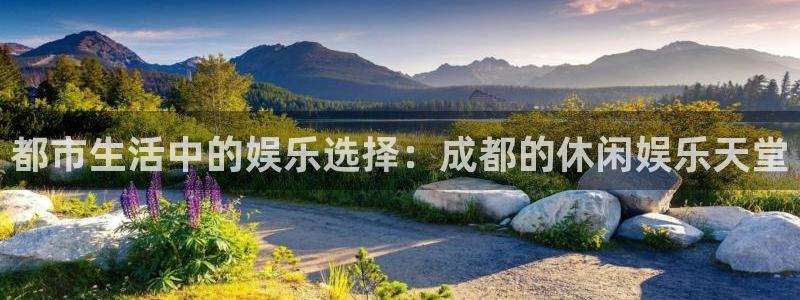2元网：都市生活中的娱乐选择：成都的休闲娱乐天堂