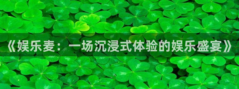 2元网河南二十二