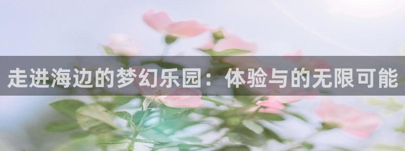 2元网河南二十二选五开奖号码：走进海边的梦幻乐园：体验与的无限可能