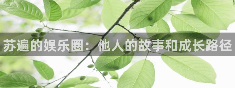 2元网走势图大全：苏遍的娱乐圈：他人的故事和成长路径
