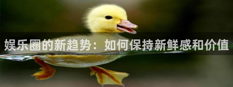 2元网走势图大全：娱乐圈的新趋势：如何保持新鲜感和价值