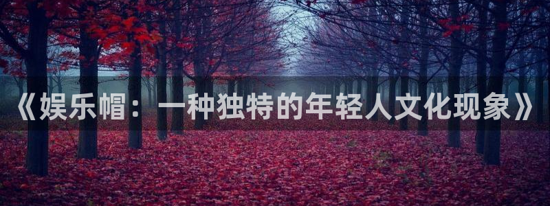 2元网3d走势图：《娱乐帽：一种独特的年轻人文化现象》