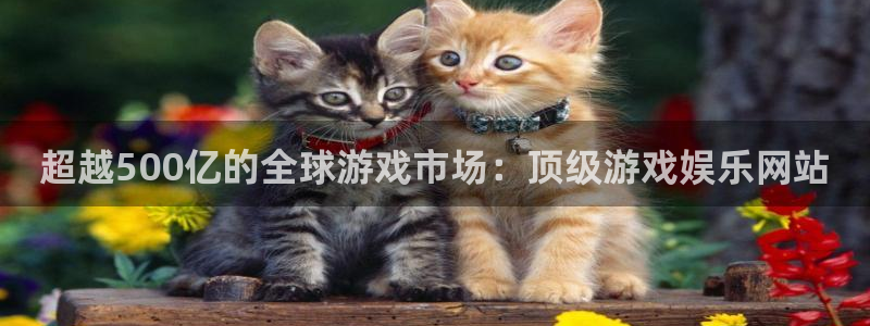 2元彩票官网：超越500亿的全球游戏市场：顶级游戏娱乐网站