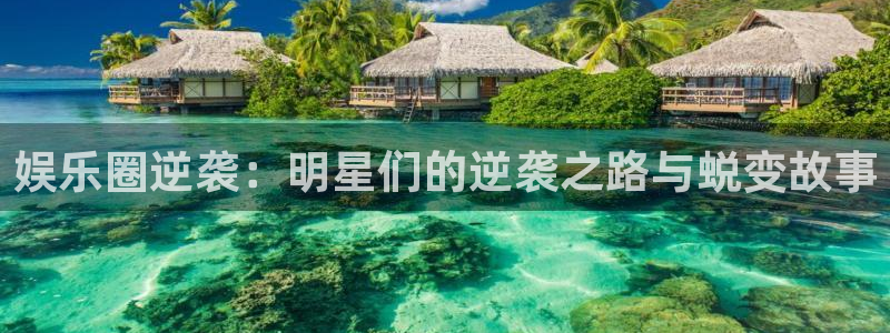 2元网走势图表：娱乐圈逆袭：明星们的逆袭之路与蜕变故事