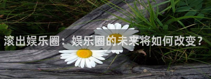 2元网：滚出娱乐圈：娱乐圈的未来将如何改变？